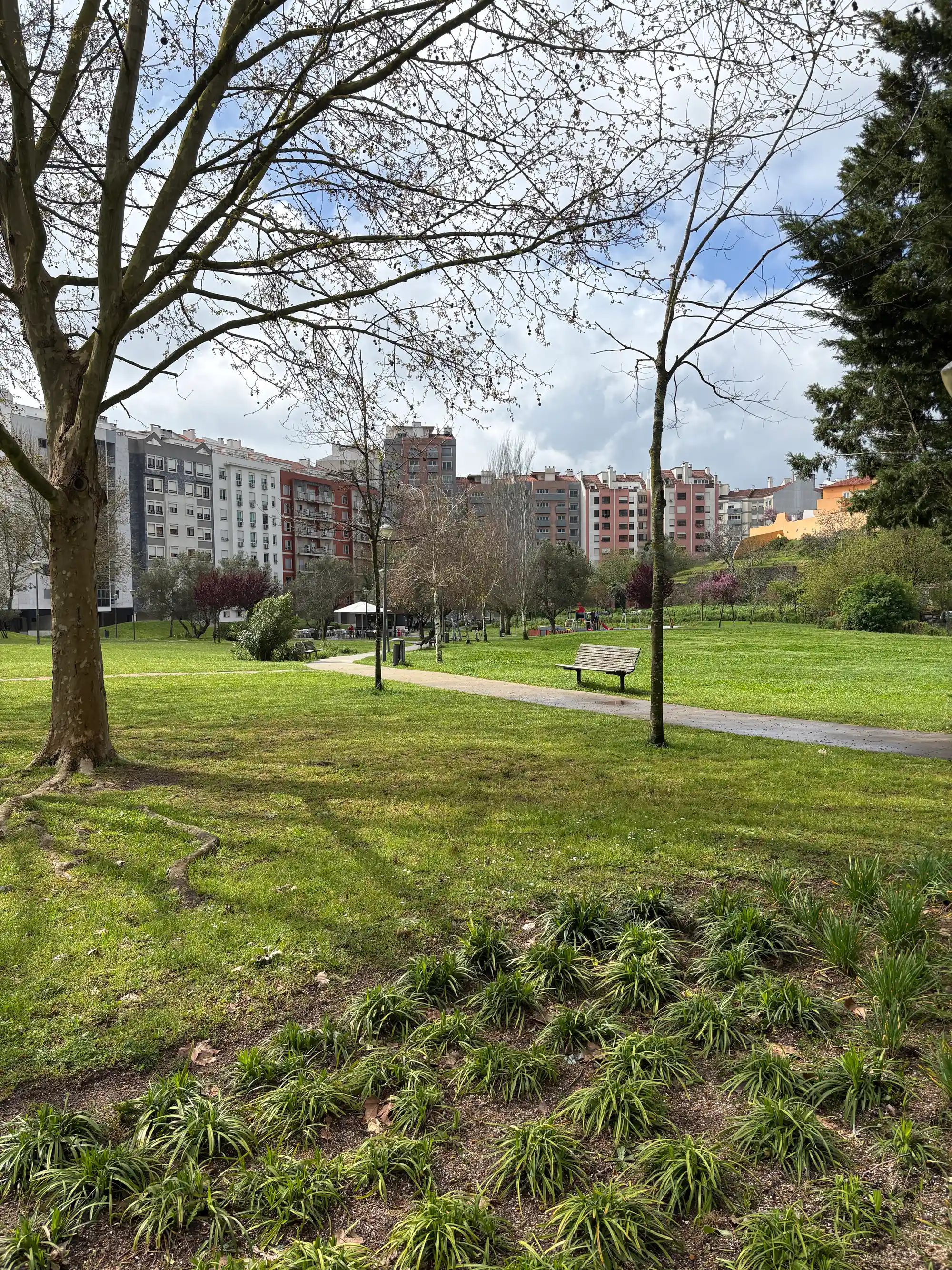 Benfica Lisbon park with green lawn, trees, walking path, and surrounding residential buildings
