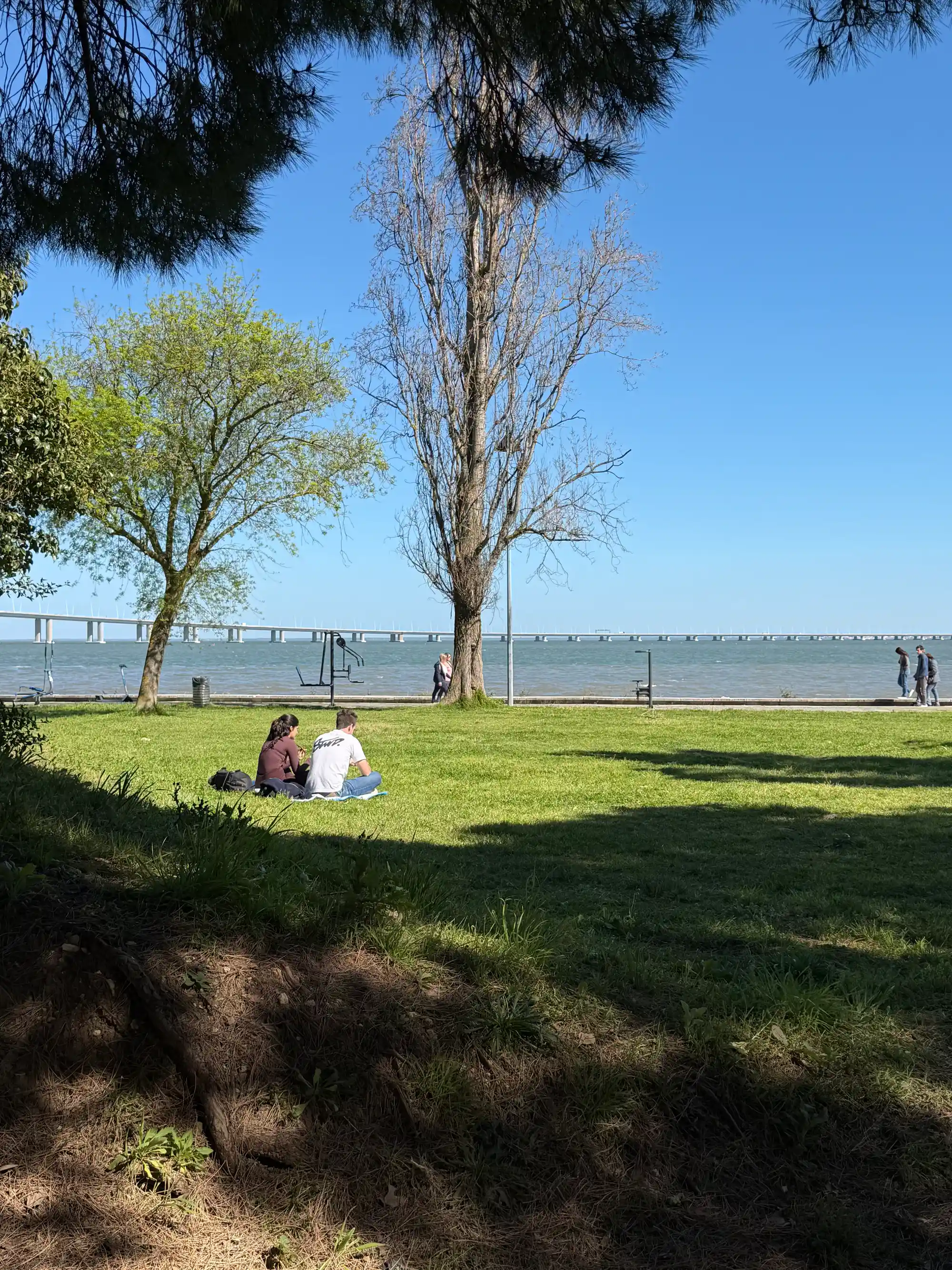 People relaxing on the grass by the Tagus River in Parque das Nações, Lisbon, with the Vasco da Gama Bridge visible in the background on a sunny day