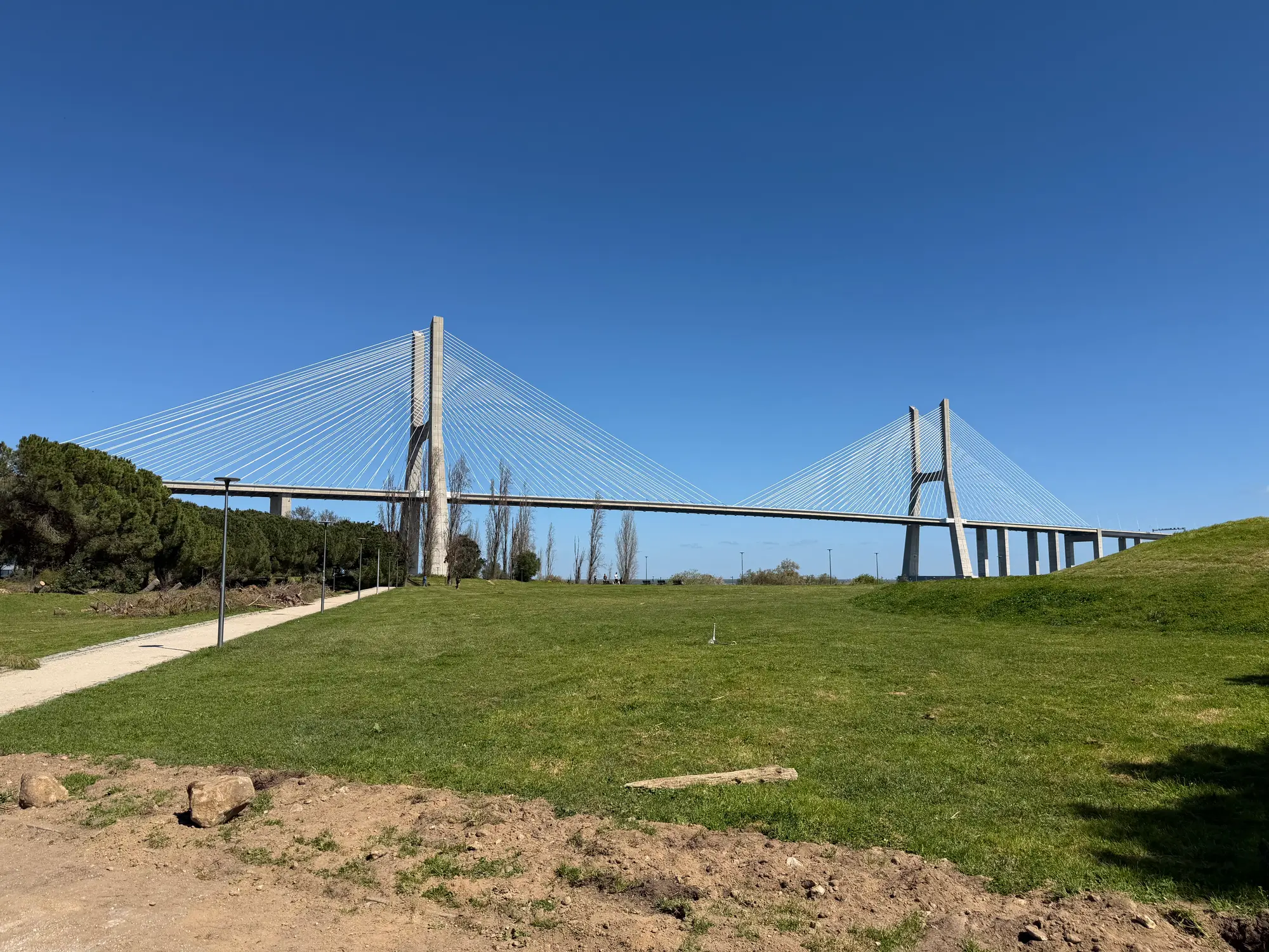A cable-stayed bridge over a green park under a clear blue sky.